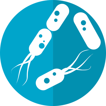 bacteria-icon-2316230_1280